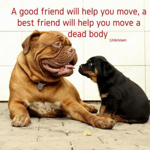 27th “thing” achieved: 5. Do 40 favours for&nbsp;friends